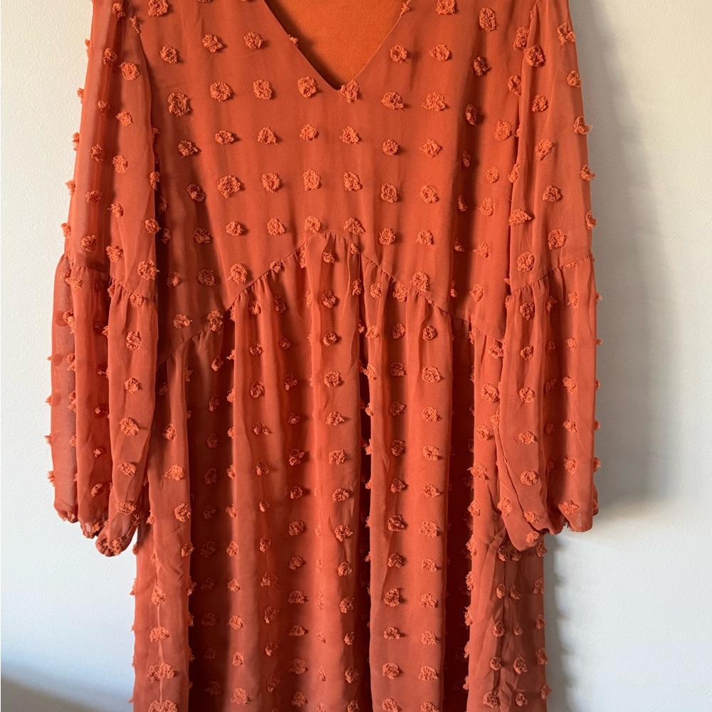 Chic Rust Long Sleeve Dress